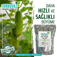 500 Gr. Turkuvaz Organik Mikron Toz Yarasa Gübresi (Katkısız)