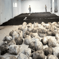 1 Lt. Turkuvaz Bat Power Organik Sıvı Yarasa Gübresi Konsantre