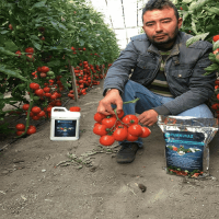 1 Lt. Turkuvaz Bat Power Organik Sıvı Yarasa Gübresi Konsantre