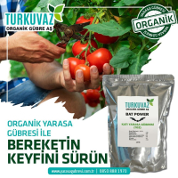 1 Kg. Turkuvaz Organik Mikron Toz Yarasa Gübresi (Katkısız)