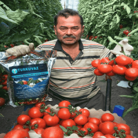 1 Lt. Turkuvaz Bat Power Organik Sıvı Yarasa Gübresi Konsantre