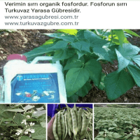 10 Lt. Turkuvaz Bat Power Organik Sıvı Yarasa Gübresi Konsantre