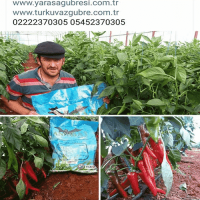 10 Lt. Turkuvaz Bat Power Organik Sıvı Yarasa Gübresi Konsantre