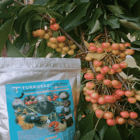 10 Kg. Turkuvaz Bat Power Organik Toz Yarasa Gübresi (Katkisiz)