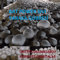 10 Kg. Turkuvaz Bat Power Organik Toz Yarasa Gübresi (Katkisiz)
