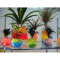 2.5 Kg. Turkuvaz Organik Su Tutucu Polimer