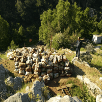 20 Lt. Turkuvaz Bat Power Organik Sıvı Yarasa Gübresi Konsantre