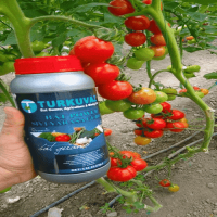 20 Lt. Turkuvaz Bat Power Organik Sıvı Yarasa Gübresi Konsantre