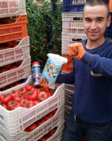 5 Kg. Turkuvaz Bat Power Organik Toz Yarasa Gübresi (Katkısız)