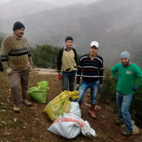 5 Kg. Turkuvaz Bat Power Organik Toz Yarasa Gübresi (Katkısız)