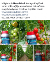 5 Kg. Turkuvaz Bat Power Organik Toz Yarasa Gübresi (Katkısız)