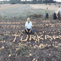 5 Lt. Turkuvaz Bat Power Organik Sıvı Yarasa Gübresi Konsantre