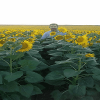 5 Lt. Turkuvaz Bat Power Organik Sıvı Yarasa Gübresi Konsantre