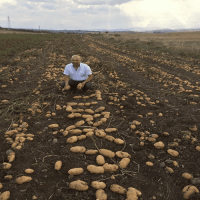 5 Lt. Turkuvaz Bat Power Organik Sıvı Yarasa Gübresi Konsantre