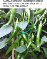 5 Kg. Turkuvaz Bat Power Organik Toz Yarasa Gübresi (Katkısız)