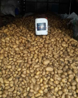 5 Kg. Turkuvaz Bat Power Organik Toz Yarasa Gübresi (Katkısız)