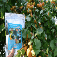 5 Lt. Turkuvaz Bat Power Organik Sıvı Yarasa Gübresi Konsantre