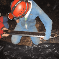 500 Gr. Turkuvaz Bat Power Organik Toz Yarasa Gübresi (Katkısız)