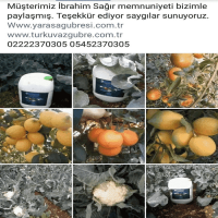 500 Gr. Turkuvaz Bat Power Organik Toz Yarasa Gübresi (Katkısız)