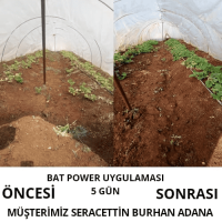 500 Ml Turkuvaz Bat Power Organik Sıvı Yarasa Gübresi Konsantre