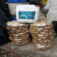 500 Ml Turkuvaz Bat Power Organik Sıvı Yarasa Gübresi Konsantre