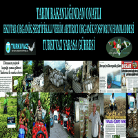 500 Ml Turkuvaz Bat Power Organik Sıvı Yarasa Gübresi Konsantre