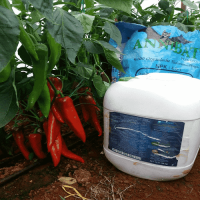 500 Gr. Turkuvaz Bat Power Organik Toz Yarasa Gübresi (Katkısız)